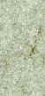 Parchemin gris.JPG (2397 octets)