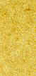 Parchemin vert.JPG (2102 octets)